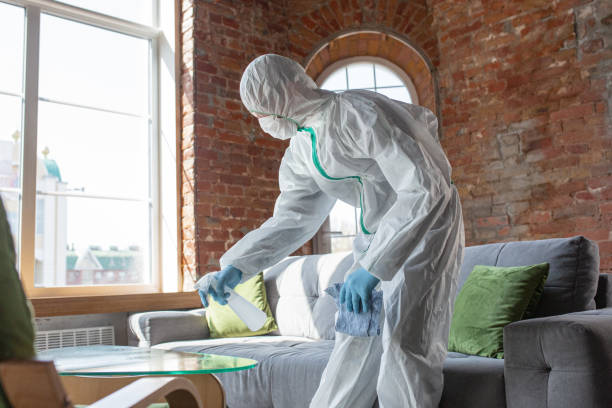  , USA Mold Removal Pros